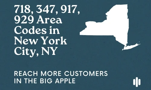 718, 347, 917, 929 Area Codes in New York City, NY